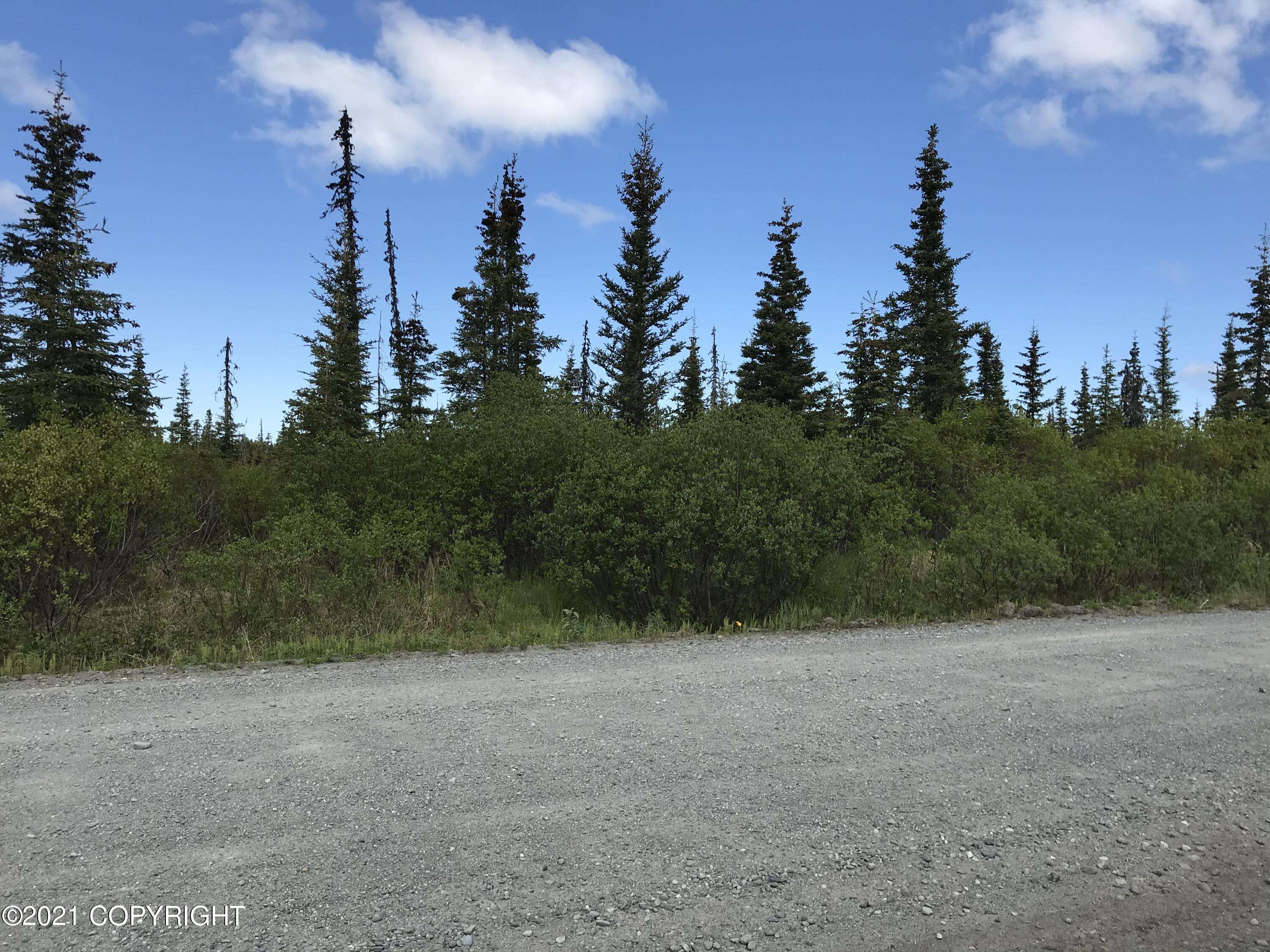 Ninilchik, AK 99639,53496 Oil Well RD