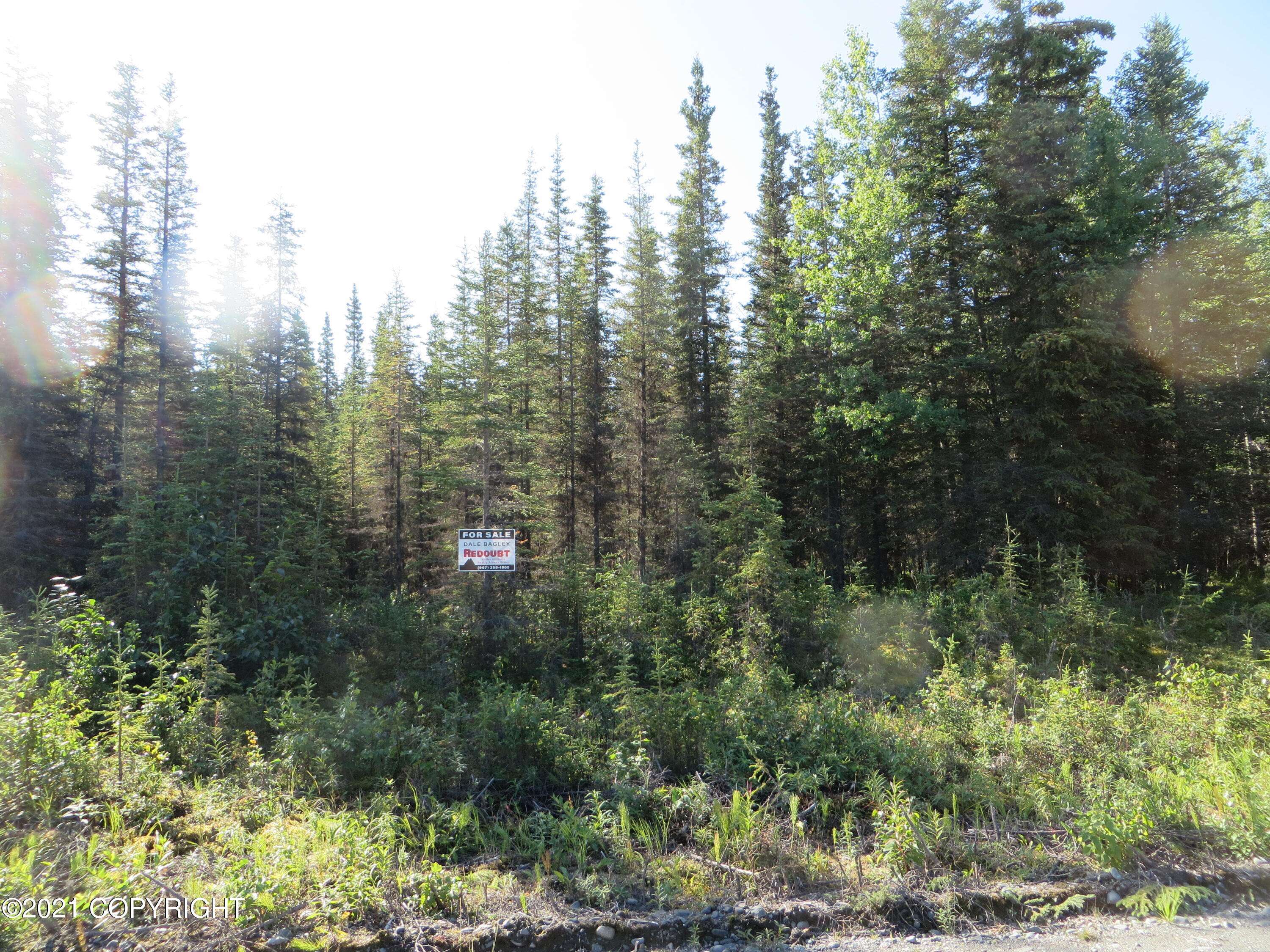 Kasilof, AK 99610,Tr 11 Dorothy DR