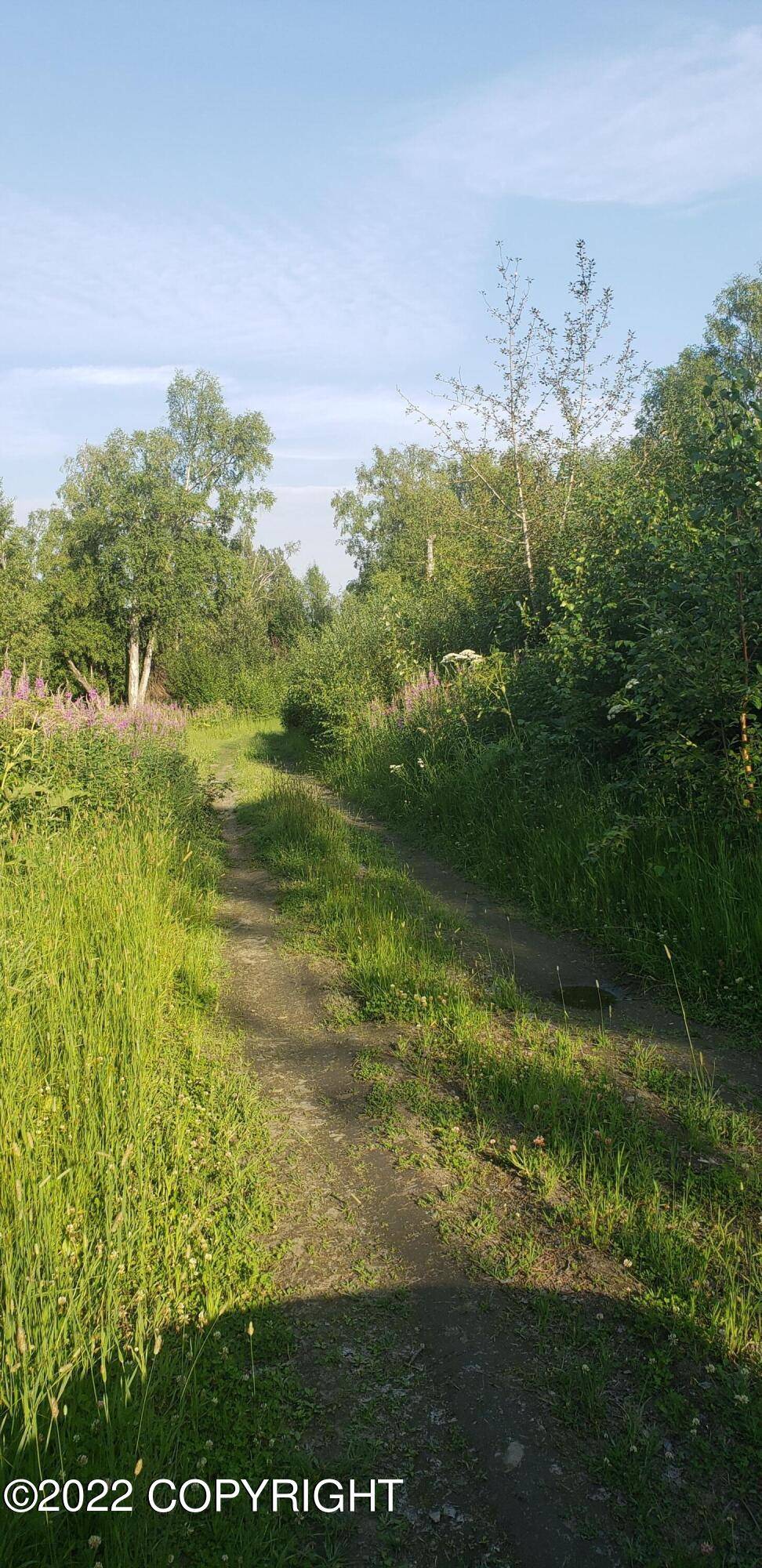 Trapper Creek, AK 99683,23580 S Bobcat TRL