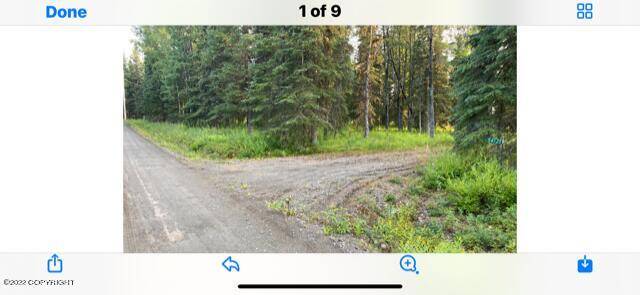 Kasilof, AK 99610,54135 Cohoe Lake DR