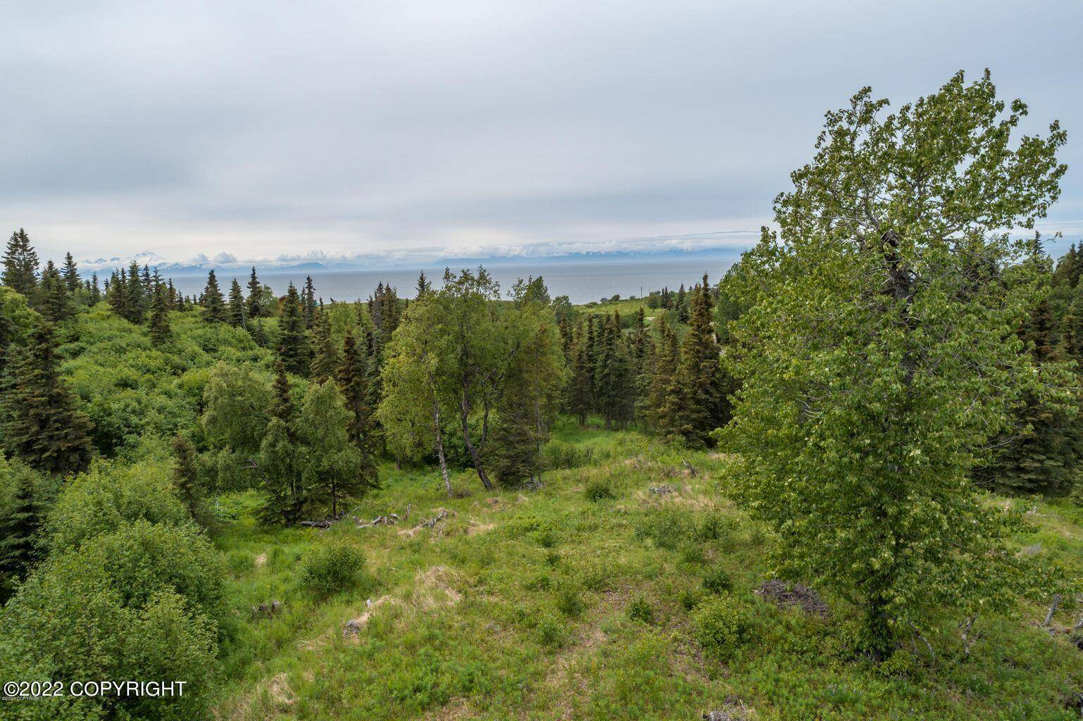 Ninilchik, AK 99639,10763 Sterling HWY