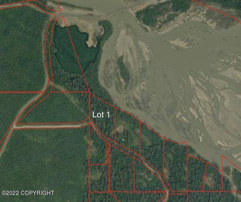 Haines, AK 99827,L1 Eagle Bluff DR