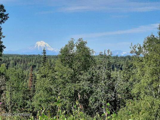 Kasilof, AK 99610,25015 Arctic Fox RD