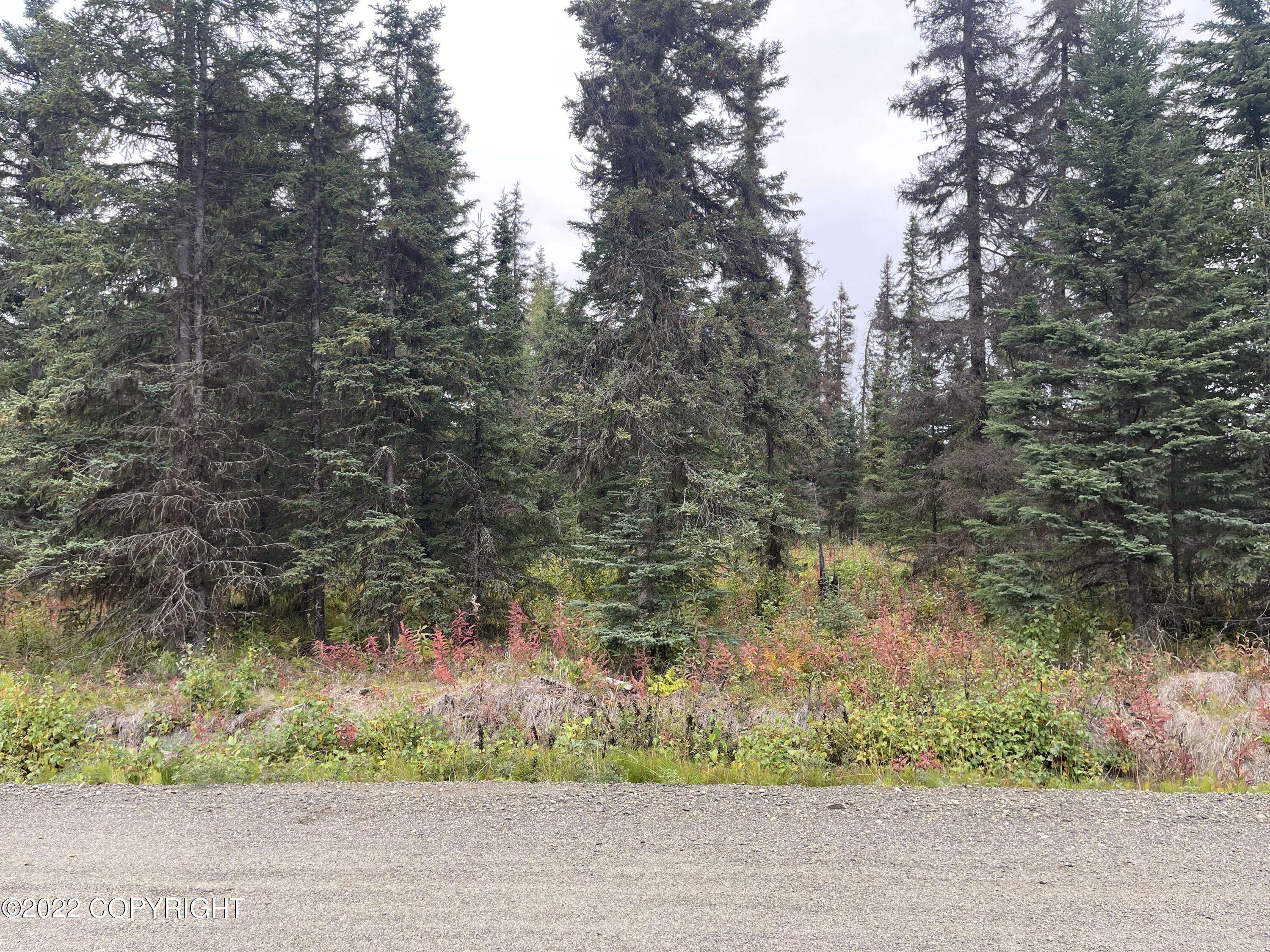 Nikiski/north Kenai, AK 99611,L126 Melody LN