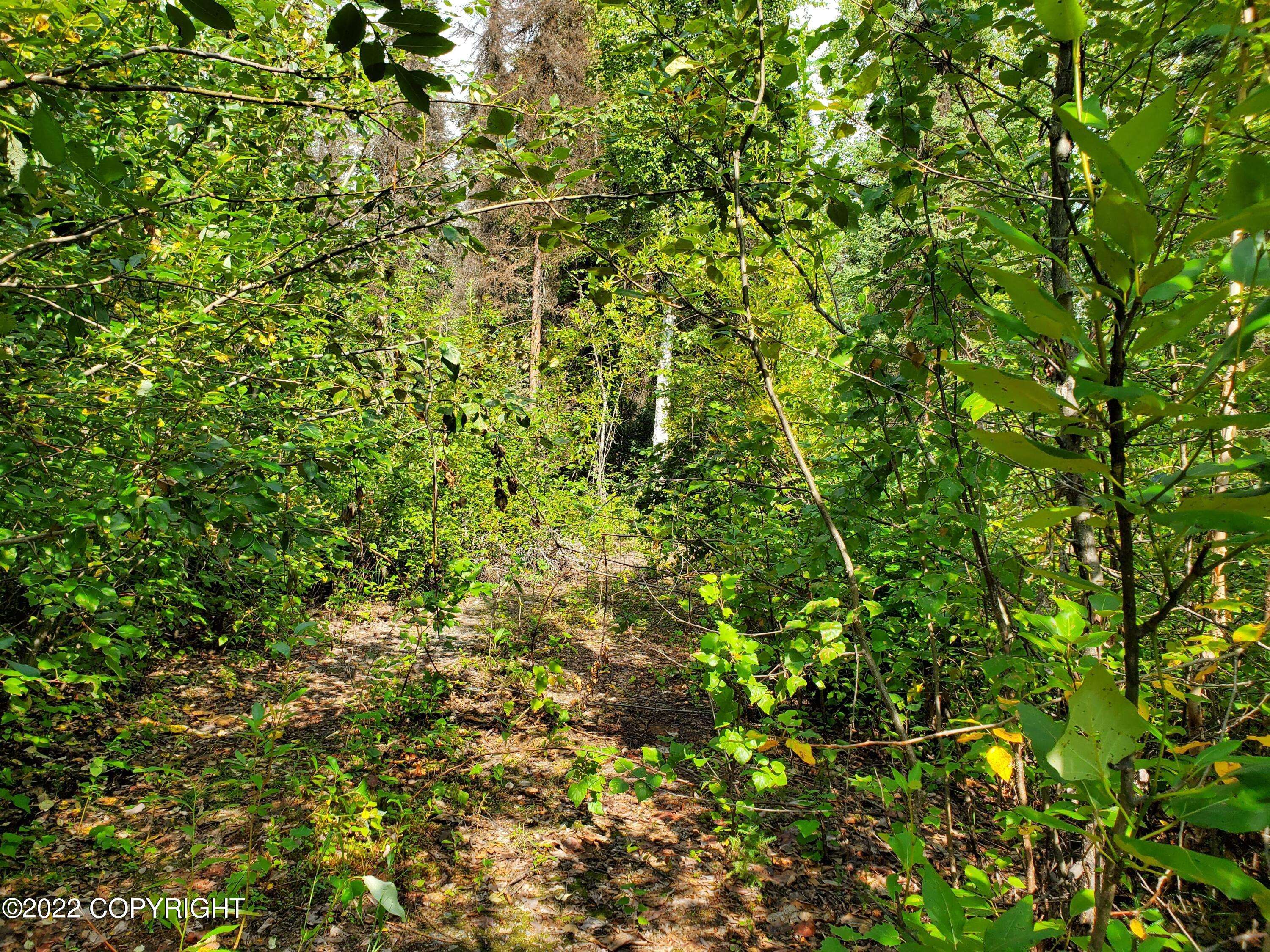 Talkeetna, AK 99676,19852 Montana Creek RD