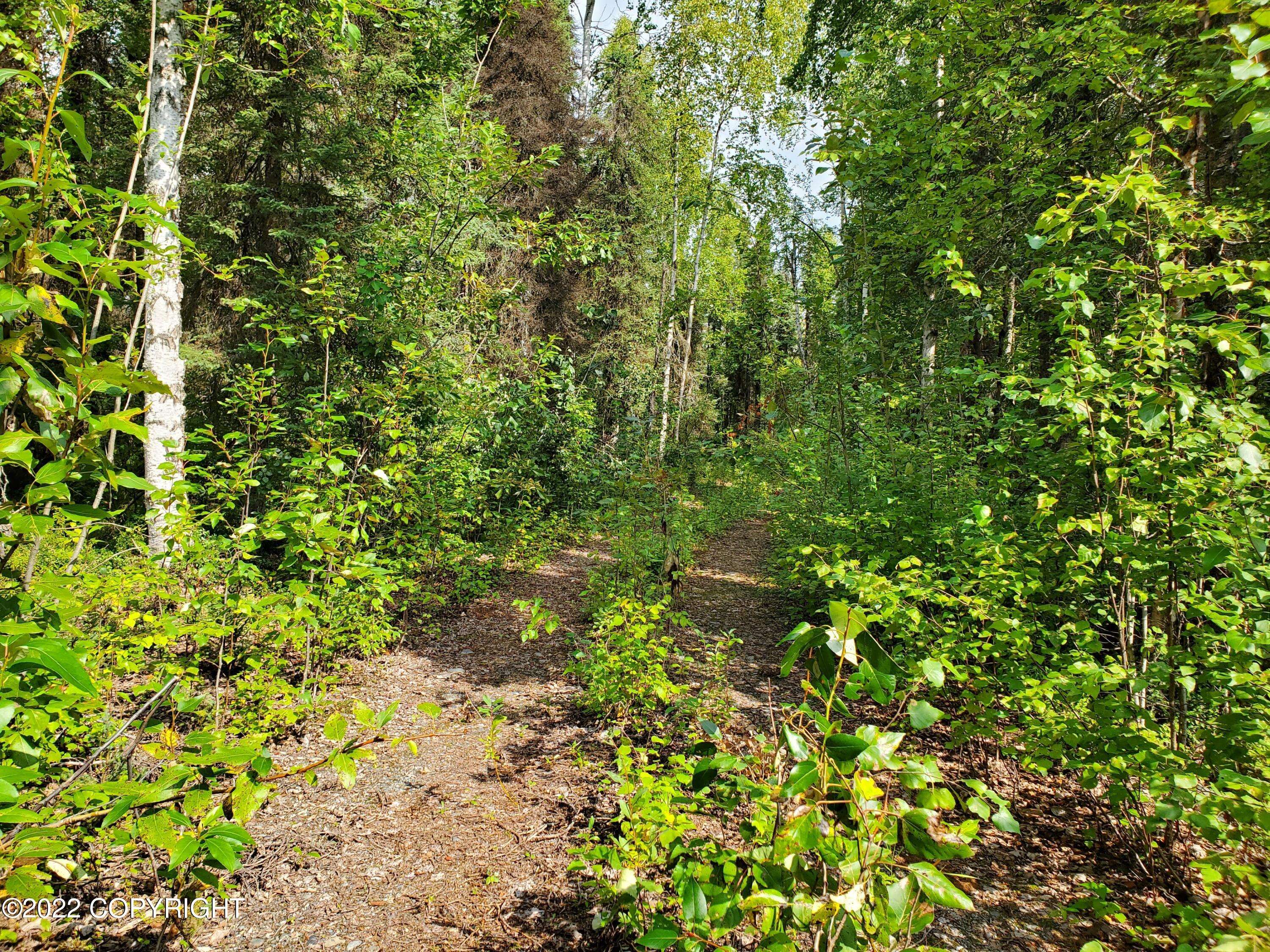 Talkeetna, AK 99676,19852 Montana Creek RD