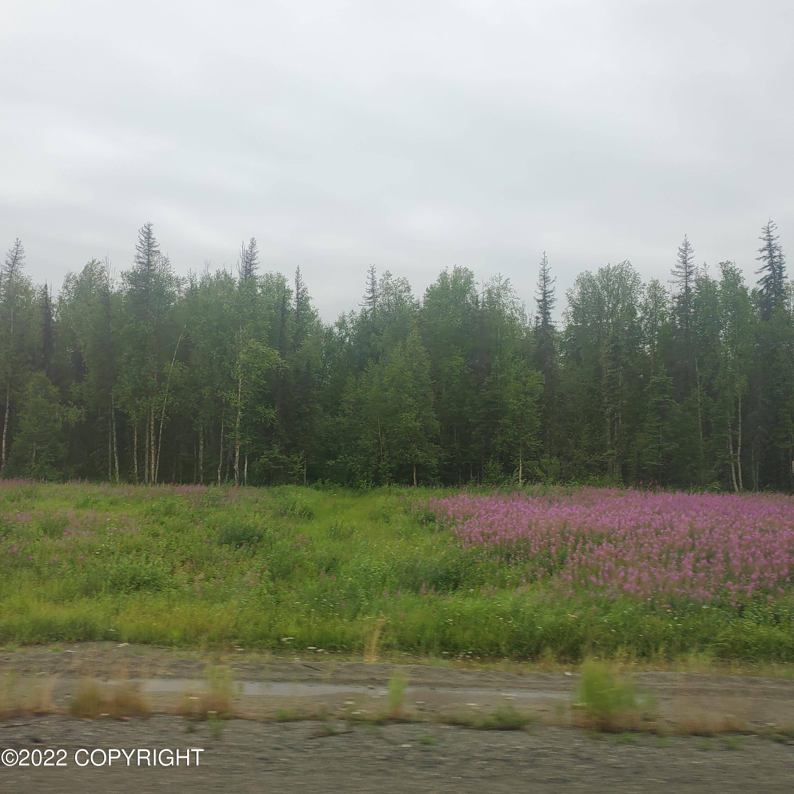 Talkeetna, AK 99676,19852 Montana Creek RD