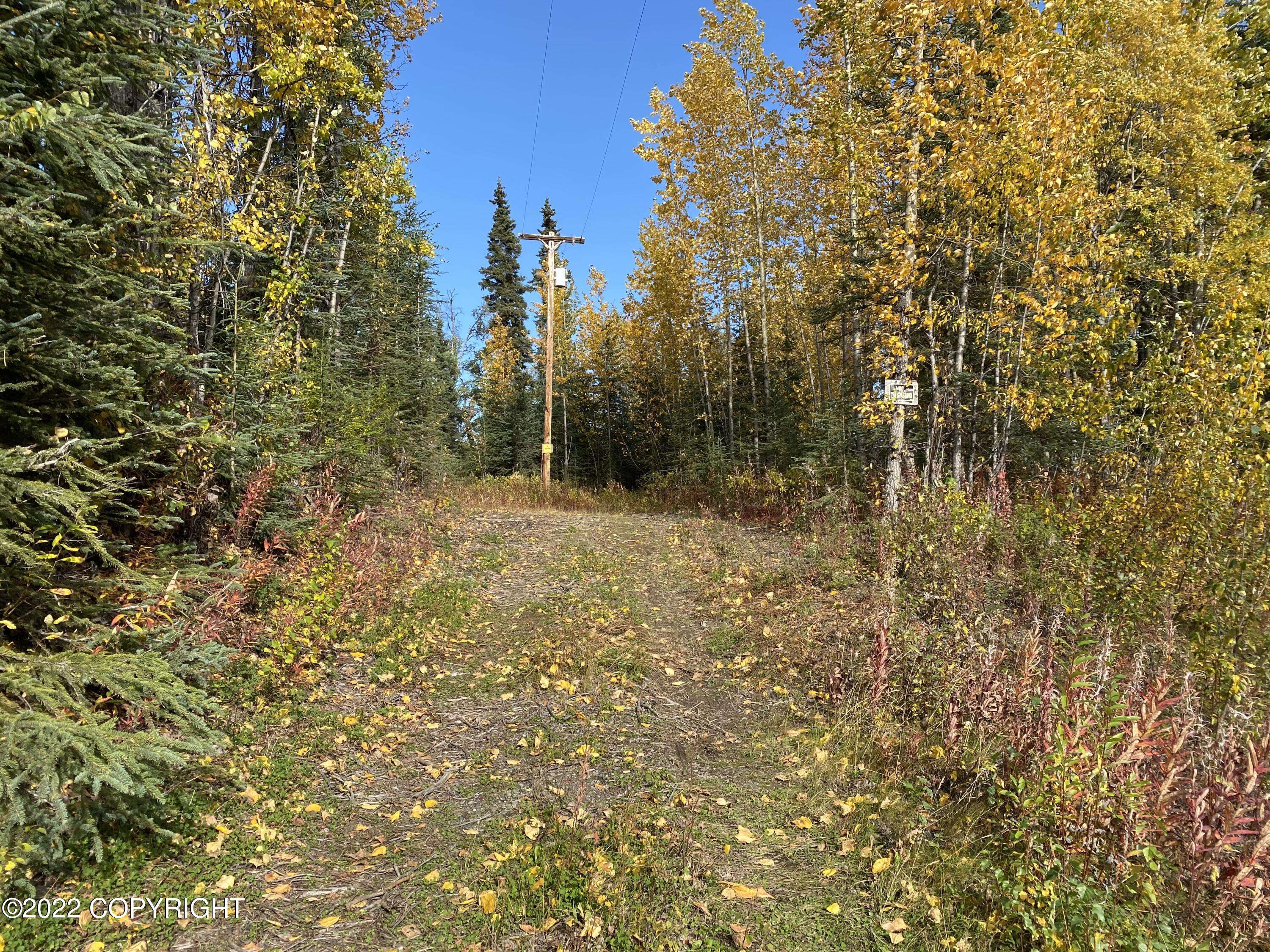 Ninilchik, AK 99639,17920 Pauline ST