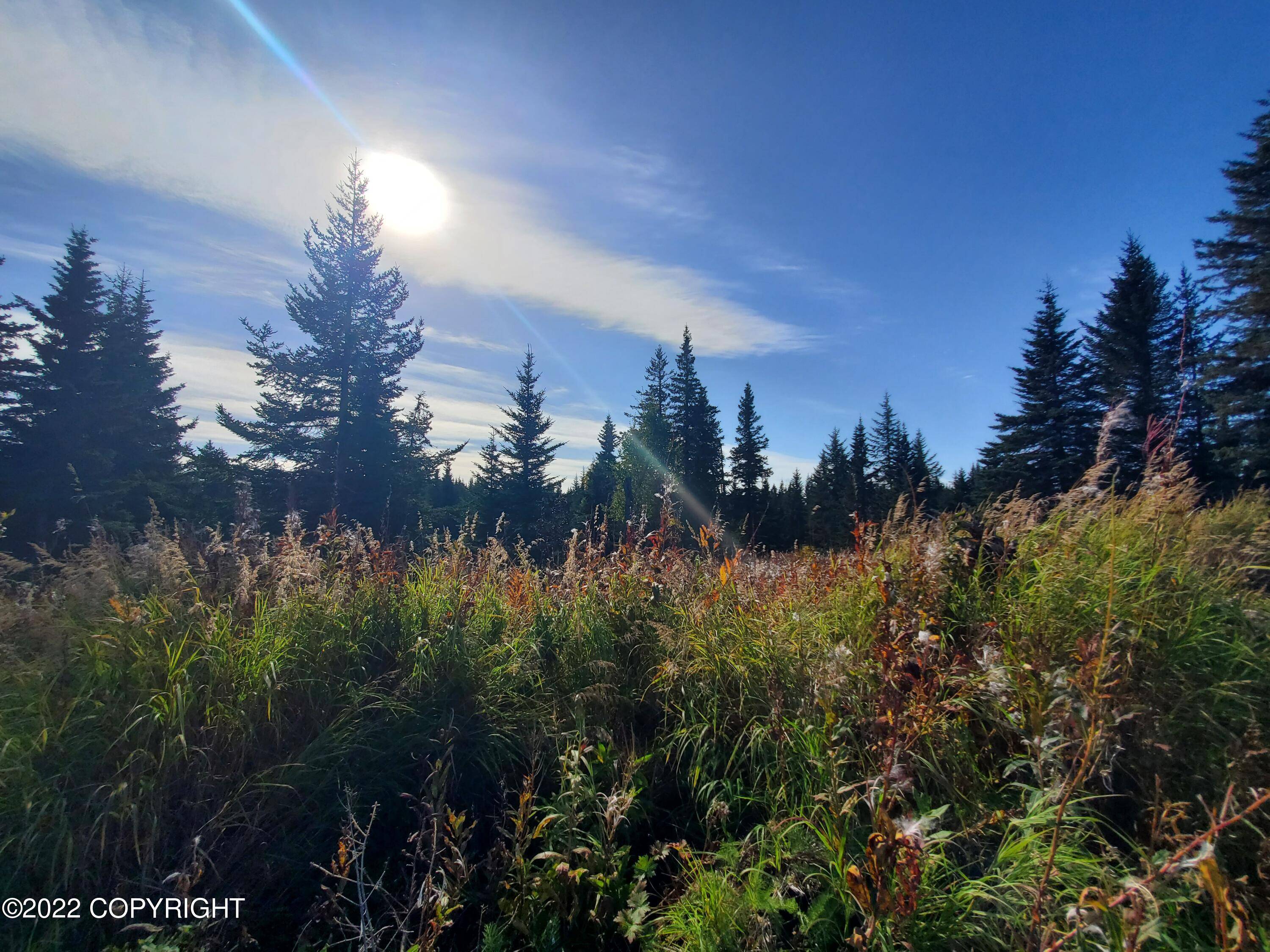 Ninilchik, AK 99639,67717 Shavila RD