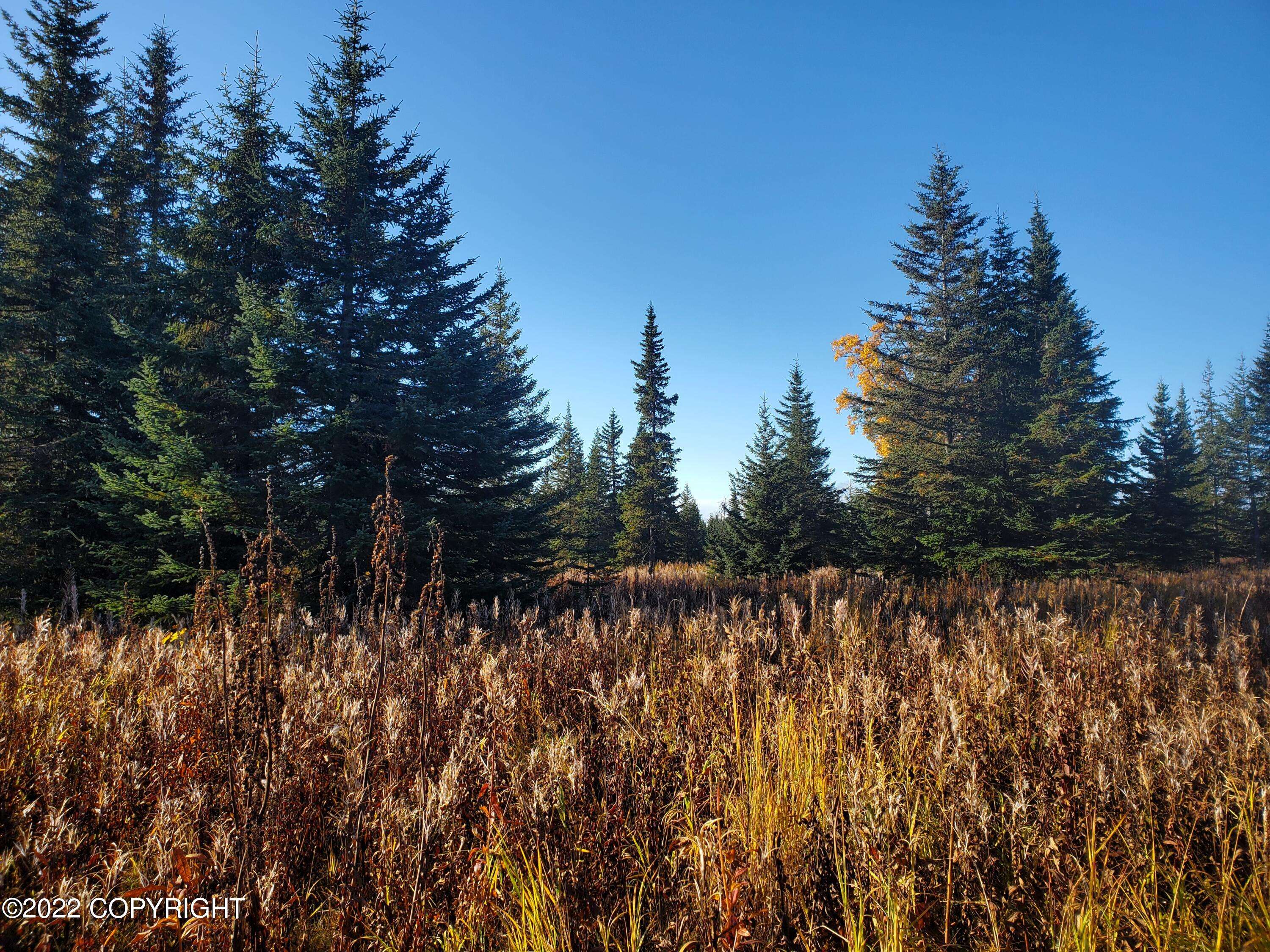 Ninilchik, AK 99639,67658 Shavila RD