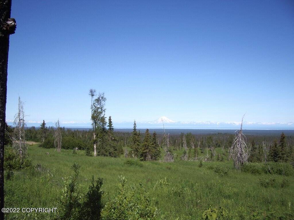 Ninilchik, AK 99639,L14 CLARKS POINT OF VIEW ESTATES