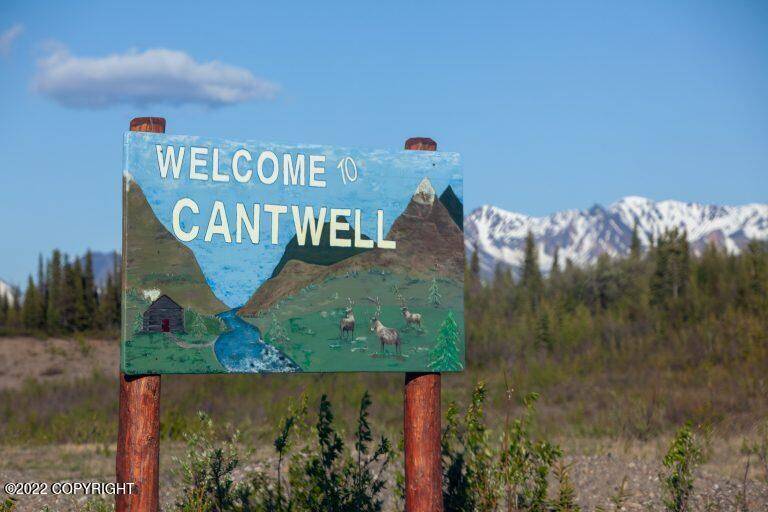 Cantwell, AK 99729,0 Nenana AVE