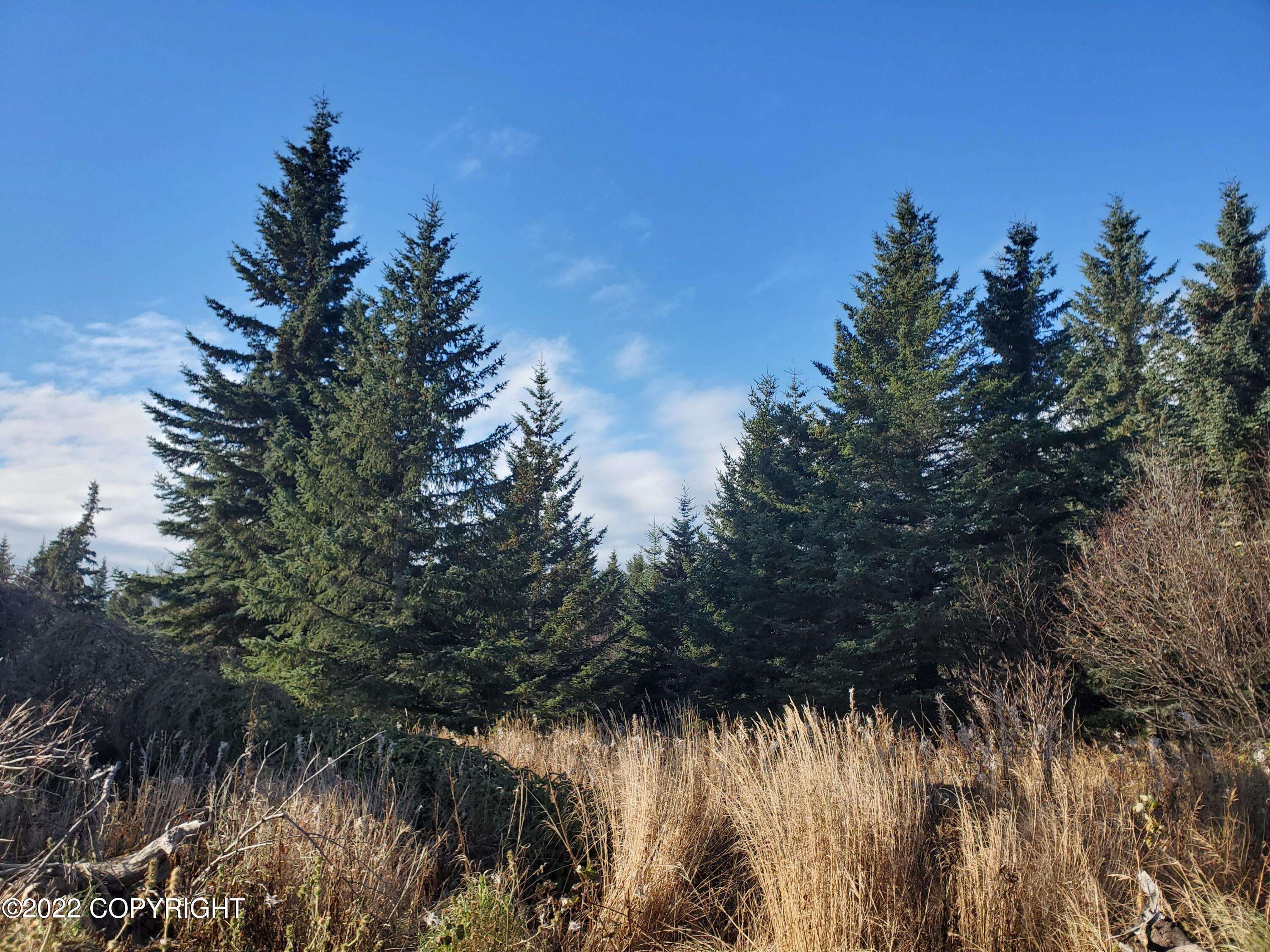 Ninilchik, AK 99639,17309 Kimeluk ST