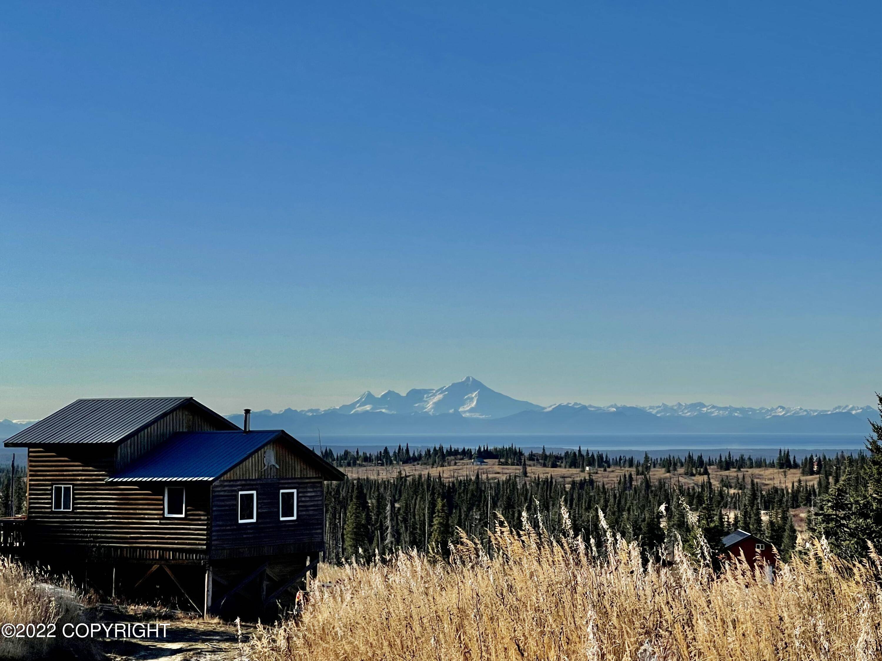 Ninilchik, AK 99639,16755 Caribou Hills REM