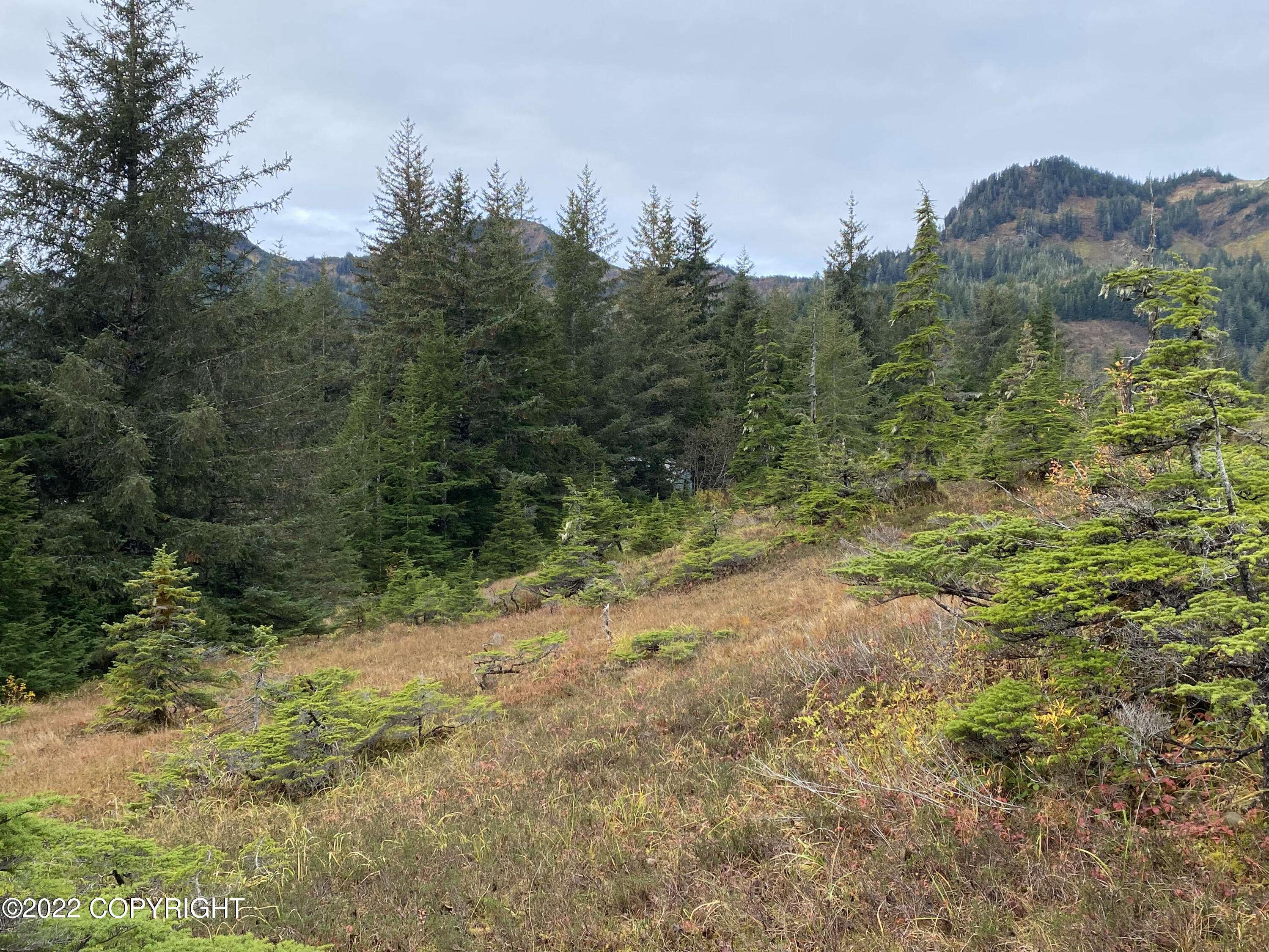 Chenega Bay, AK 99574,0000 Crab Bay Tract S Plat 96-17