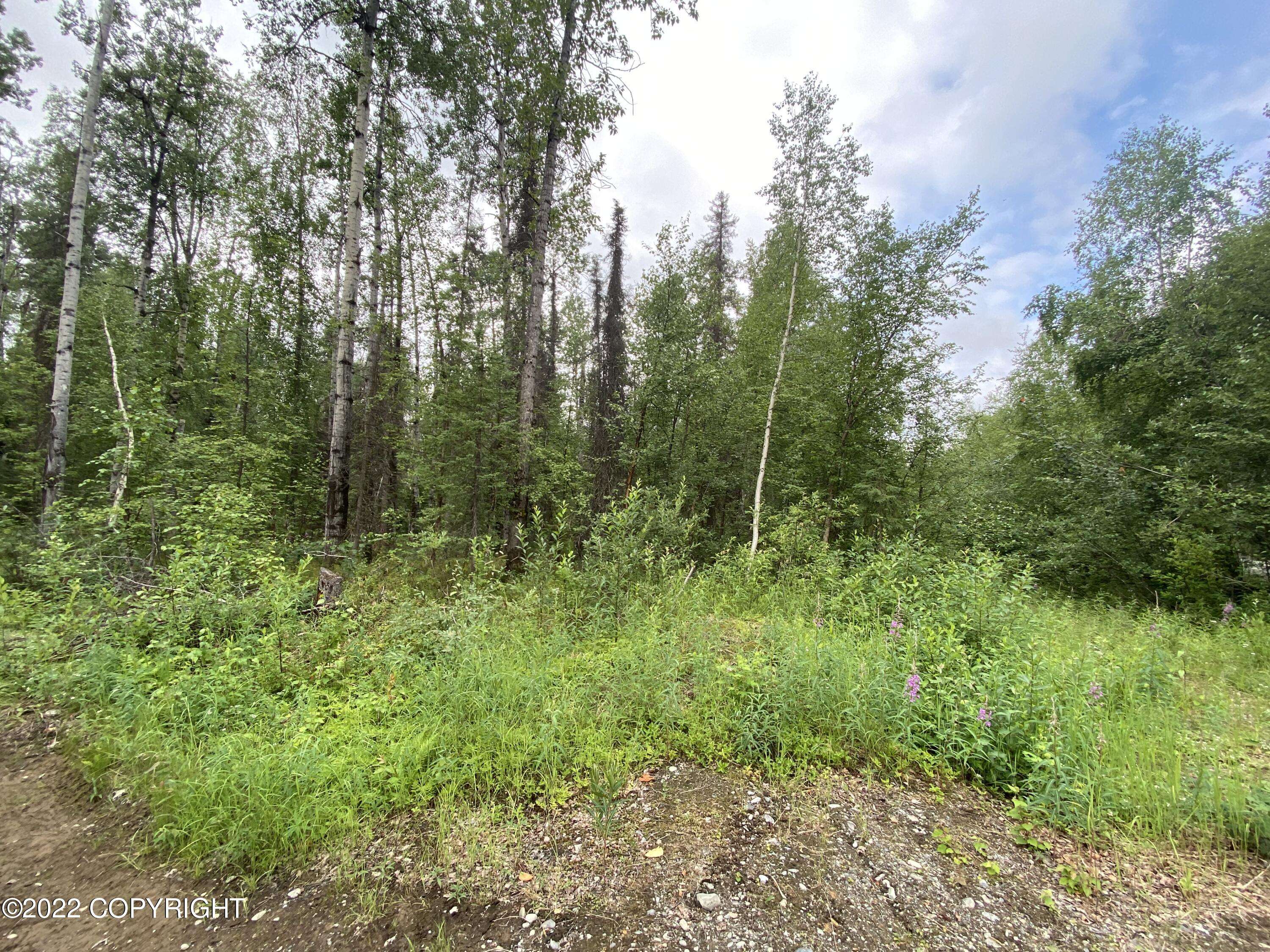 Willow, AK 99688,19858 E Tackle AVE