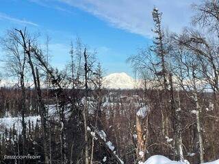 Talkeetna, AK 99676,35568 S Malaspina LOOP