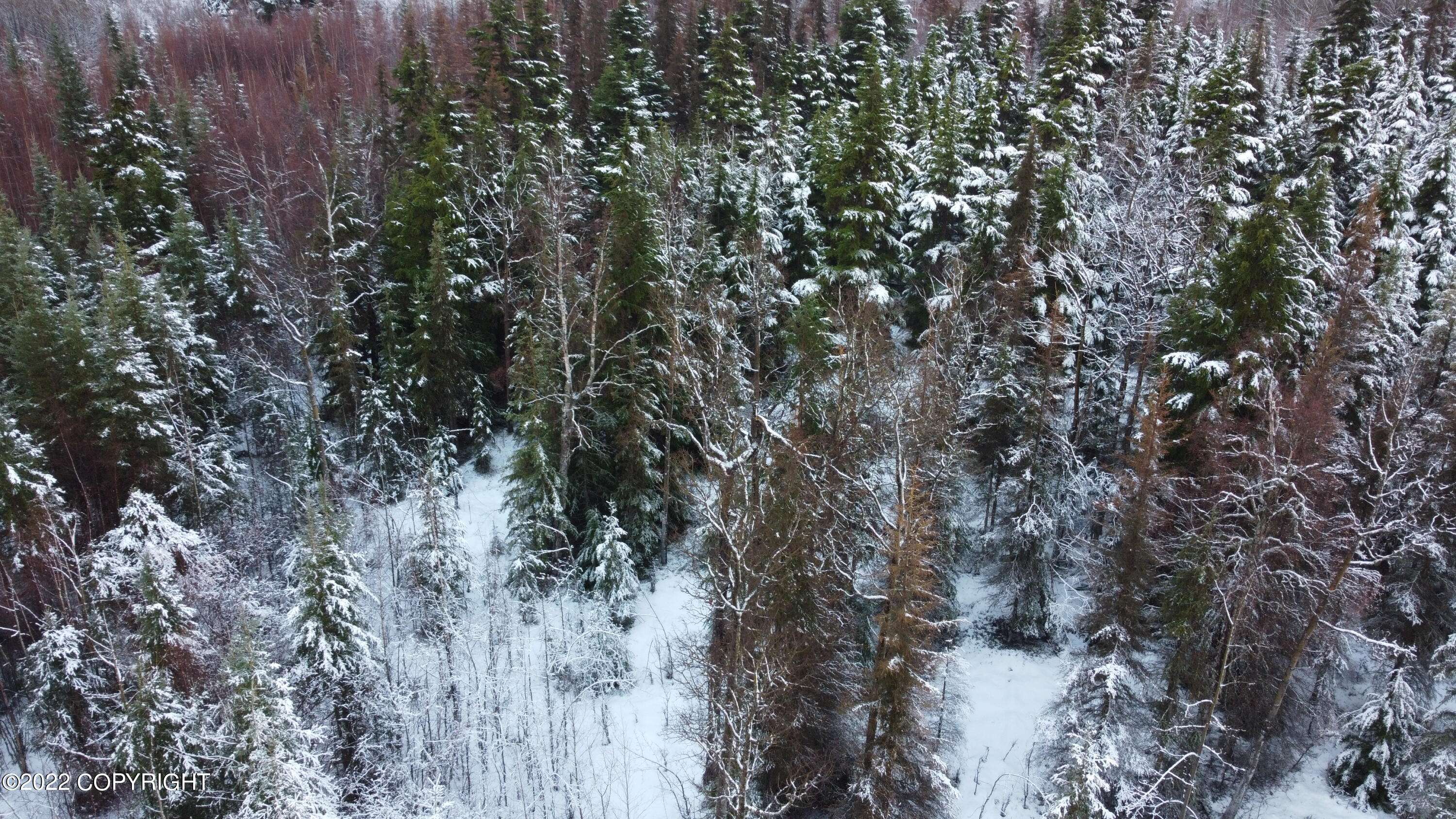 Cooper Landing, AK 99572,17881 Sterling HWY