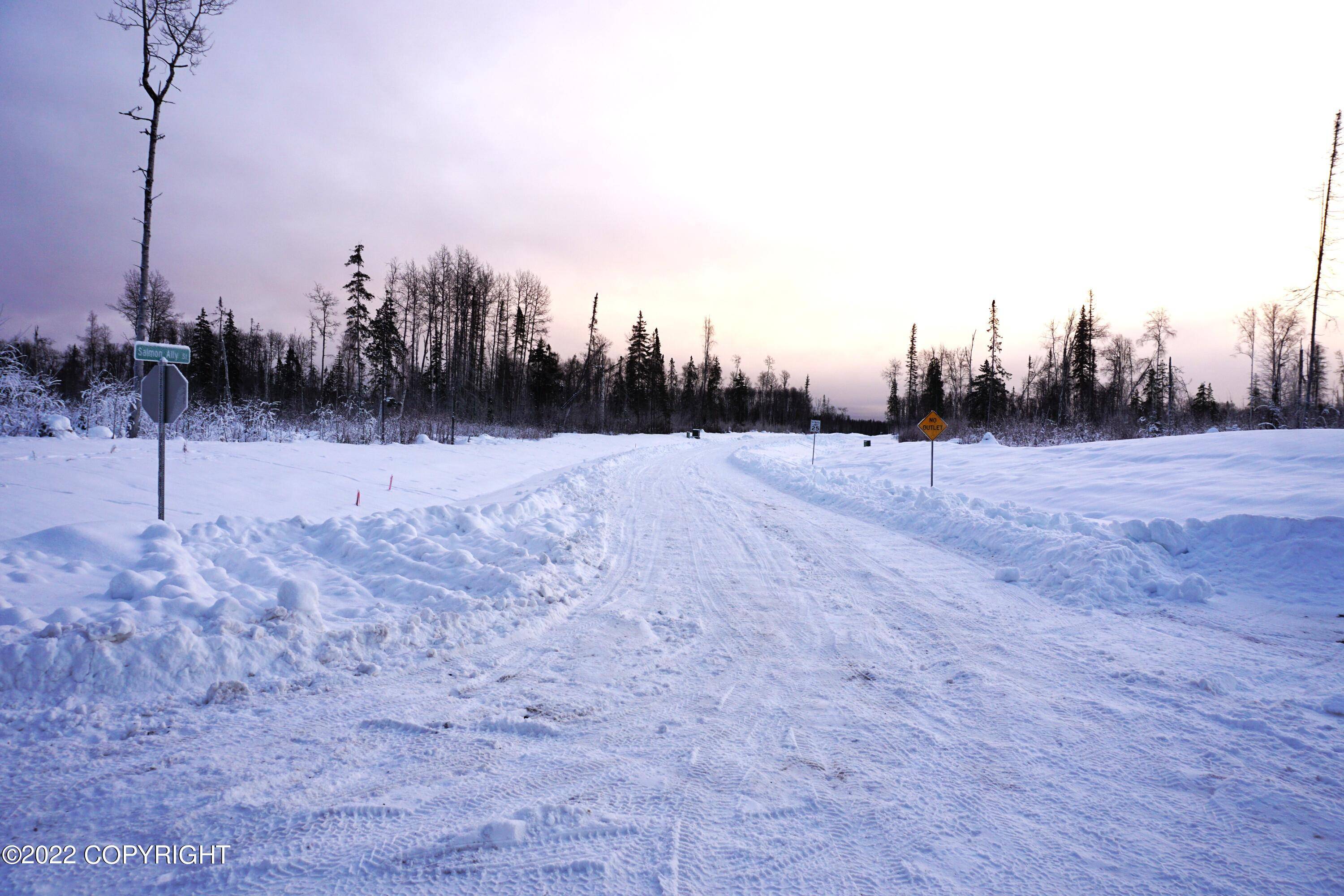 Talkeetna, AK 99676,31255 S Salmon Alley ST