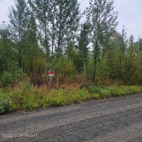 Talkeetna, AK 99676,19530 Montana Creek RD