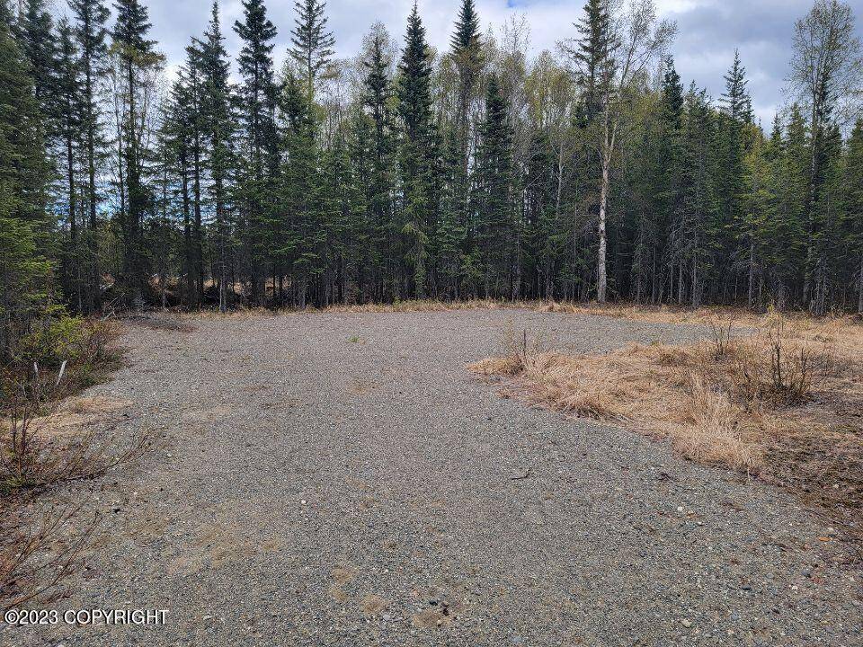 Nikiski/north Kenai, AK 99611,52202 Treasure Chest AVE