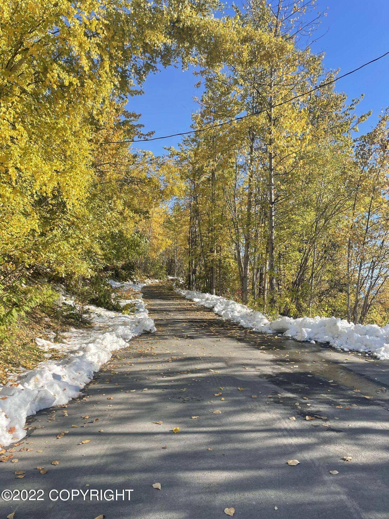 Eagle River, AK 99577,L3 B6 Lower Canyon DR