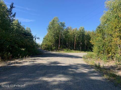 Talkeetna, AK 99676,49651 S Denali View DR