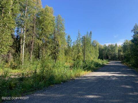 Talkeetna, AK 99676,49701 S Denali View DR