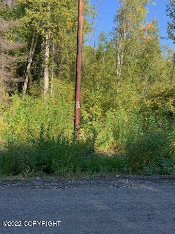 Talkeetna, AK 99676,49701 S Denali View DR