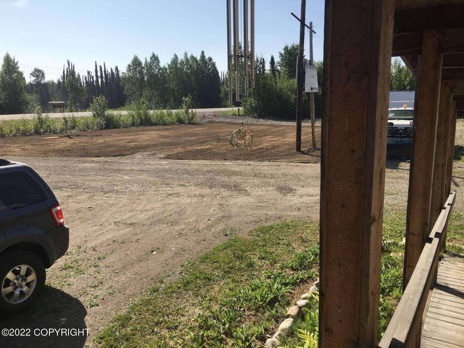 Talkeetna, AK 99676,37112 S Spur RD