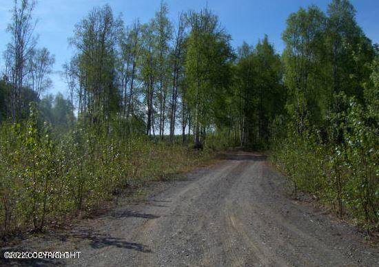 Talkeetna, AK 99676,15598 E Big Timber CIR