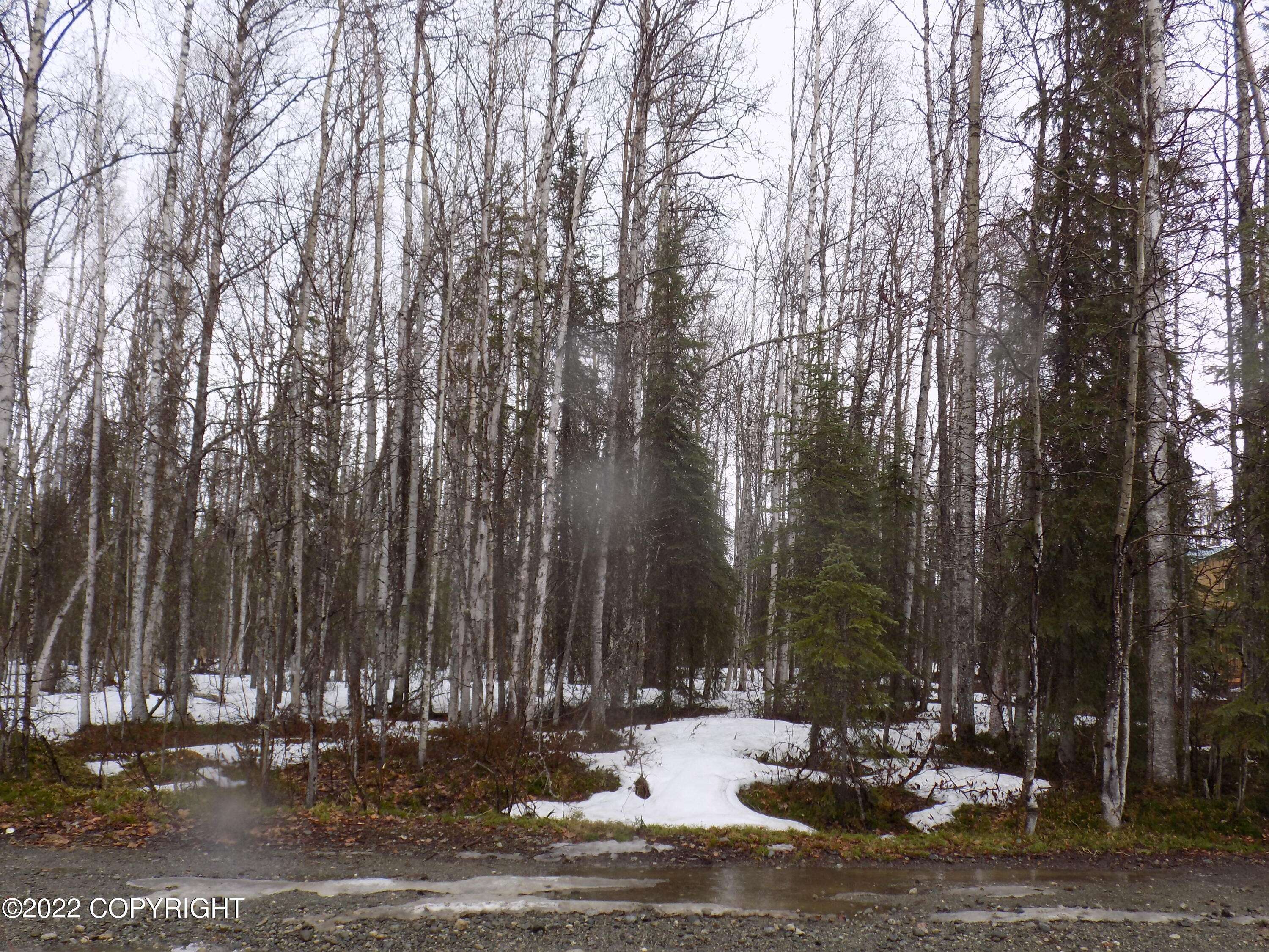 Willow, AK 99688,25010 Long Lake RD