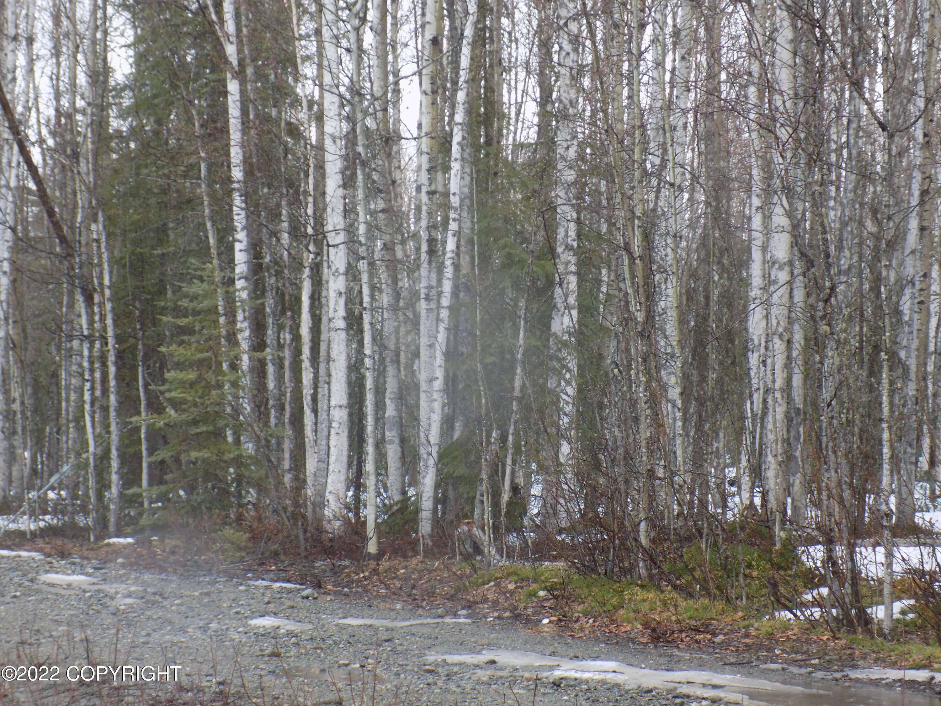 Willow, AK 99688,25010 Long Lake RD