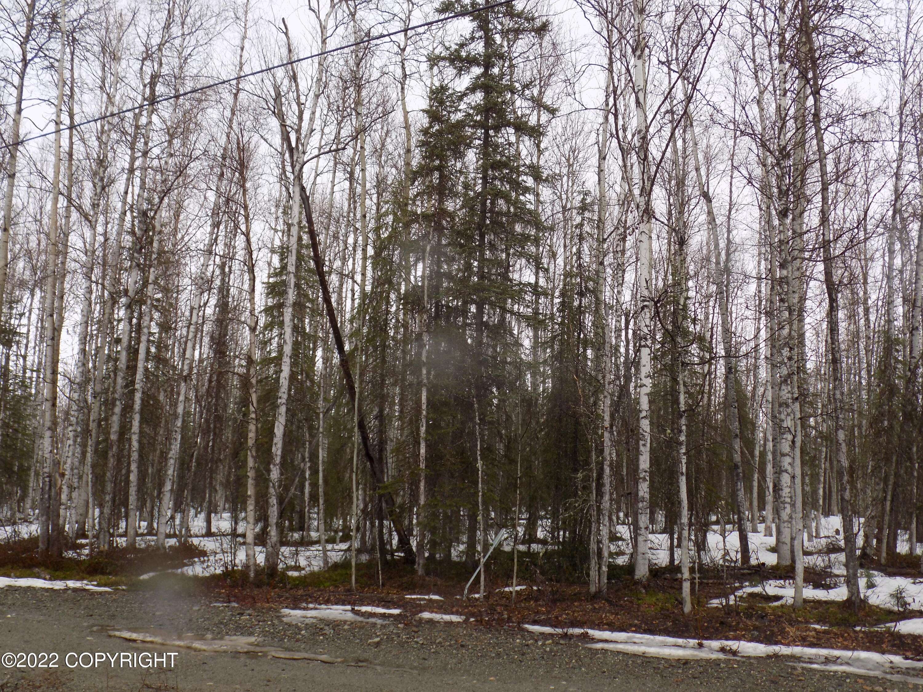 Willow, AK 99688,24986 Long Lake RD