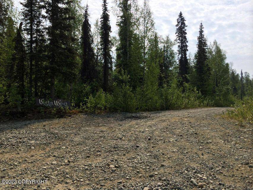 Talkeetna, AK 99676,41517 S Moose Track LN