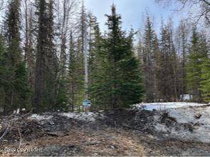 Nikiski/north Kenai, AK 99611,49619 Two Junes AVE