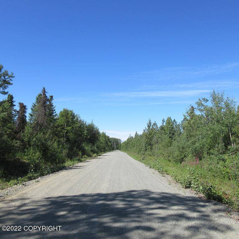 Talkeetna, AK 99676,C001 Leroy Davies RD