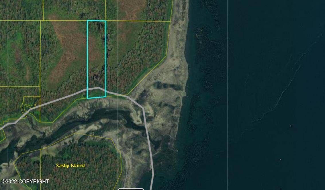 Petersburg, AK 99833,Lot 2 Kupreanof Island