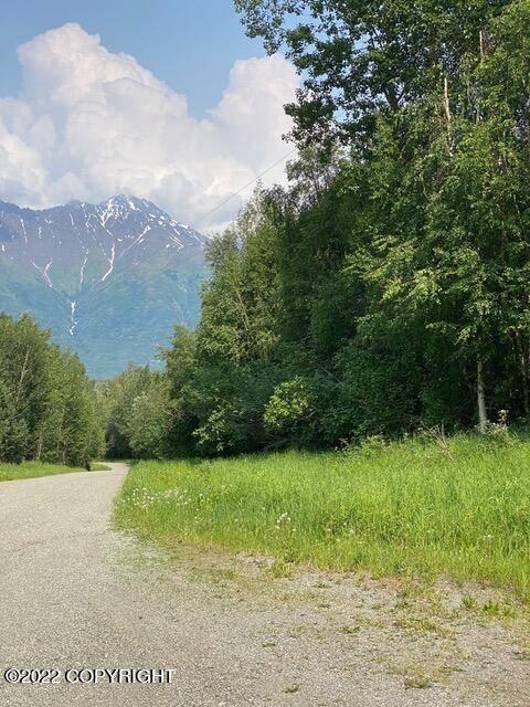 Palmer, AK 99645,21508 E Feltman CT
