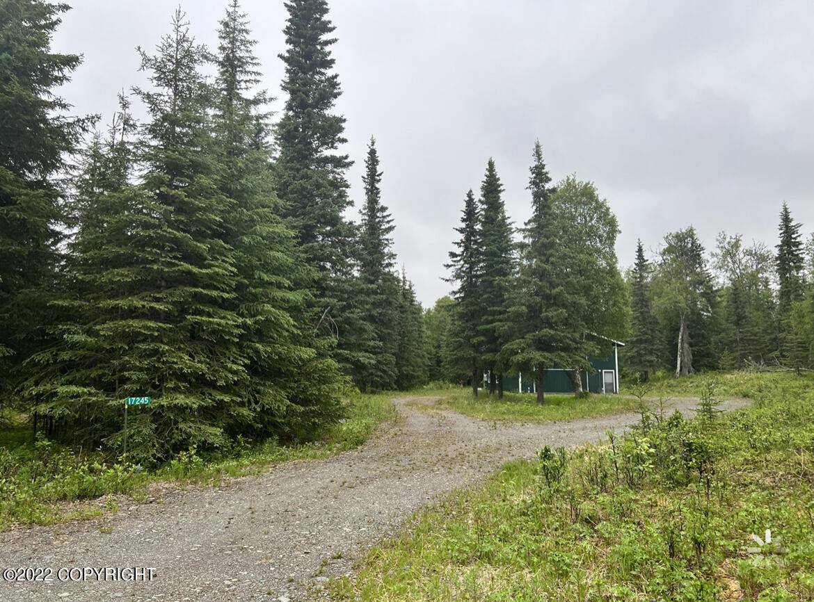 Ninilchik, AK 99639,17245 Hooligan CIR