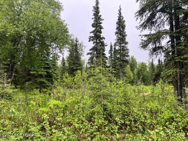 Ninilchik, AK 99639,L8 B1 Evergreen LOOP