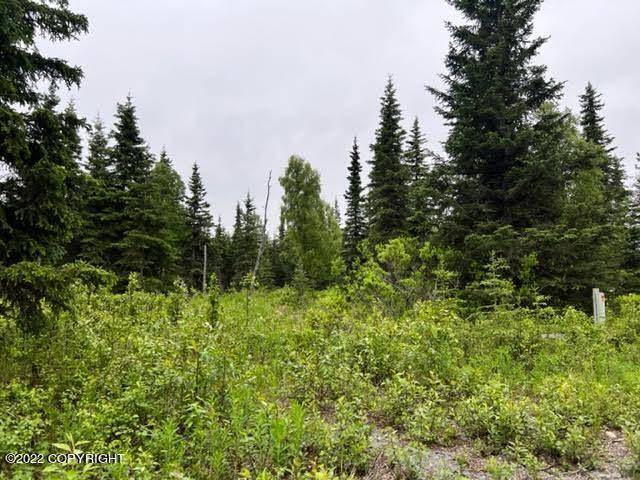 Ninilchik, AK 99639,L8 B1 Evergreen LOOP