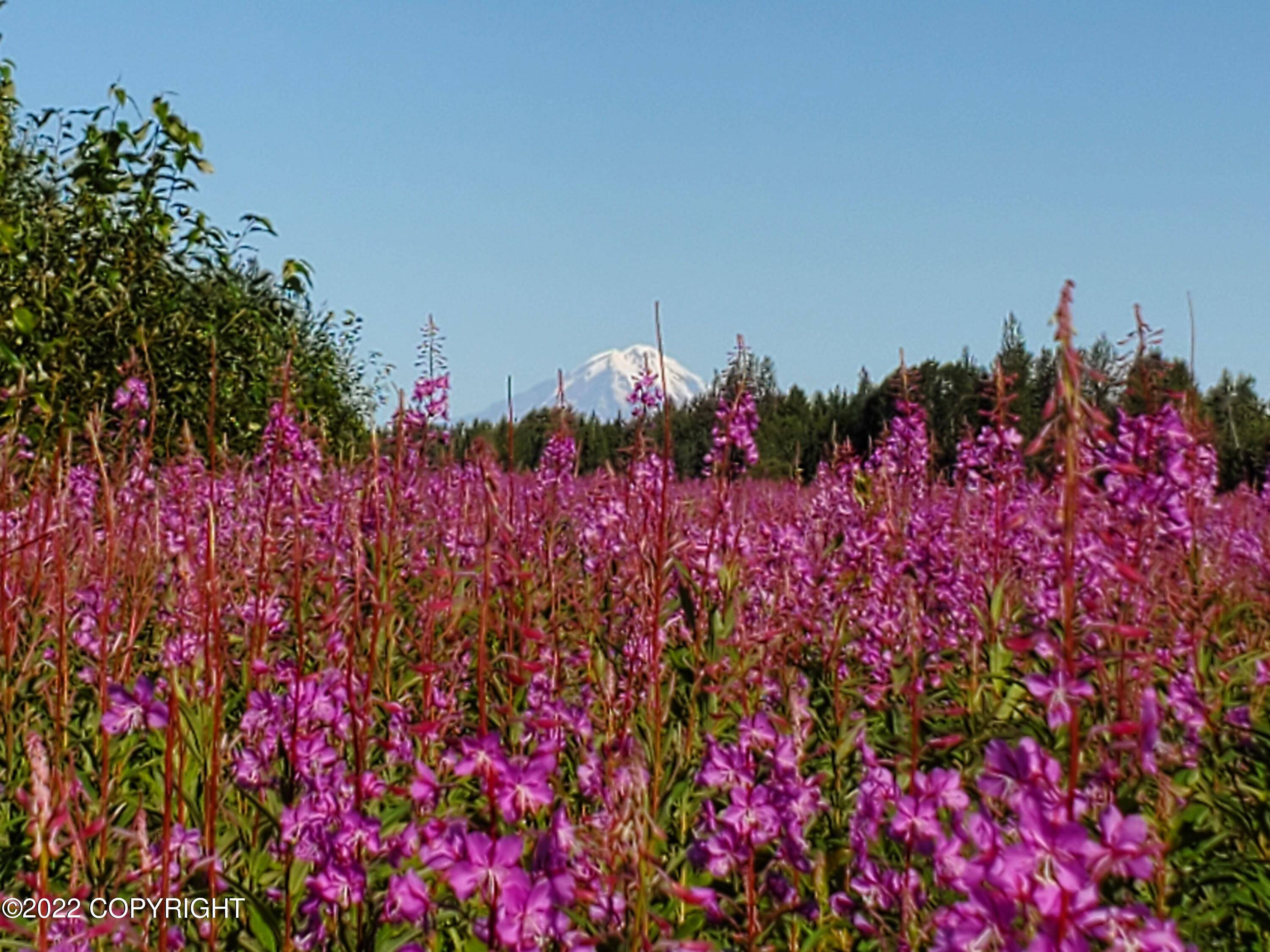 Ninilchik, AK 99639,63962 Tailwind RD