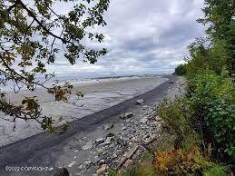 Nikiski/north Kenai, AK 99635,L63 Cloud Berry LOOP