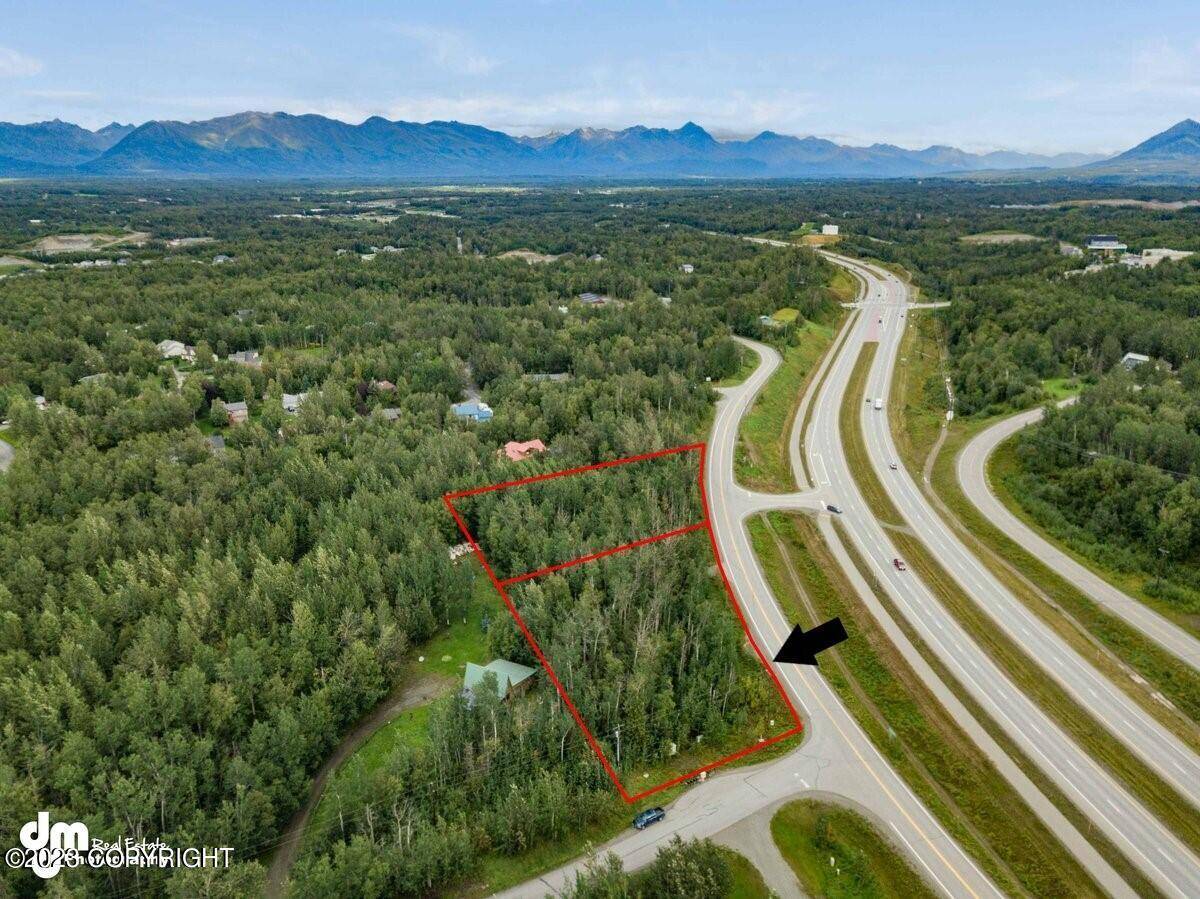 Palmer, AK 99645,L3 S Old Trunk RD