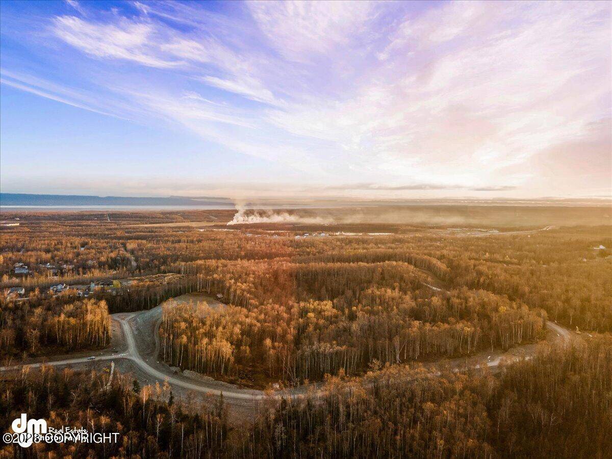 Wasilla, AK 99654,1487 N Utopia View CIR