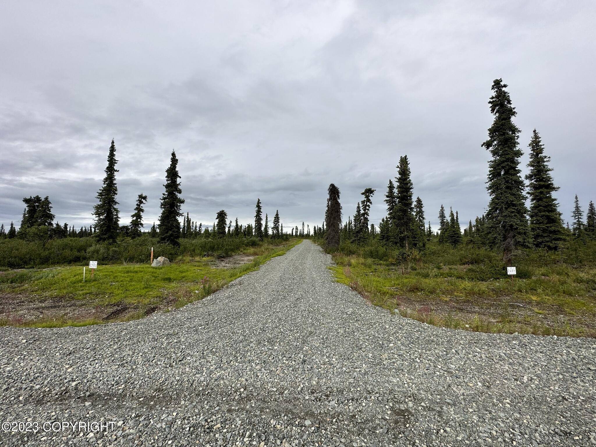 Chickaloon, AK 99674,49462 S Timberwolf RD