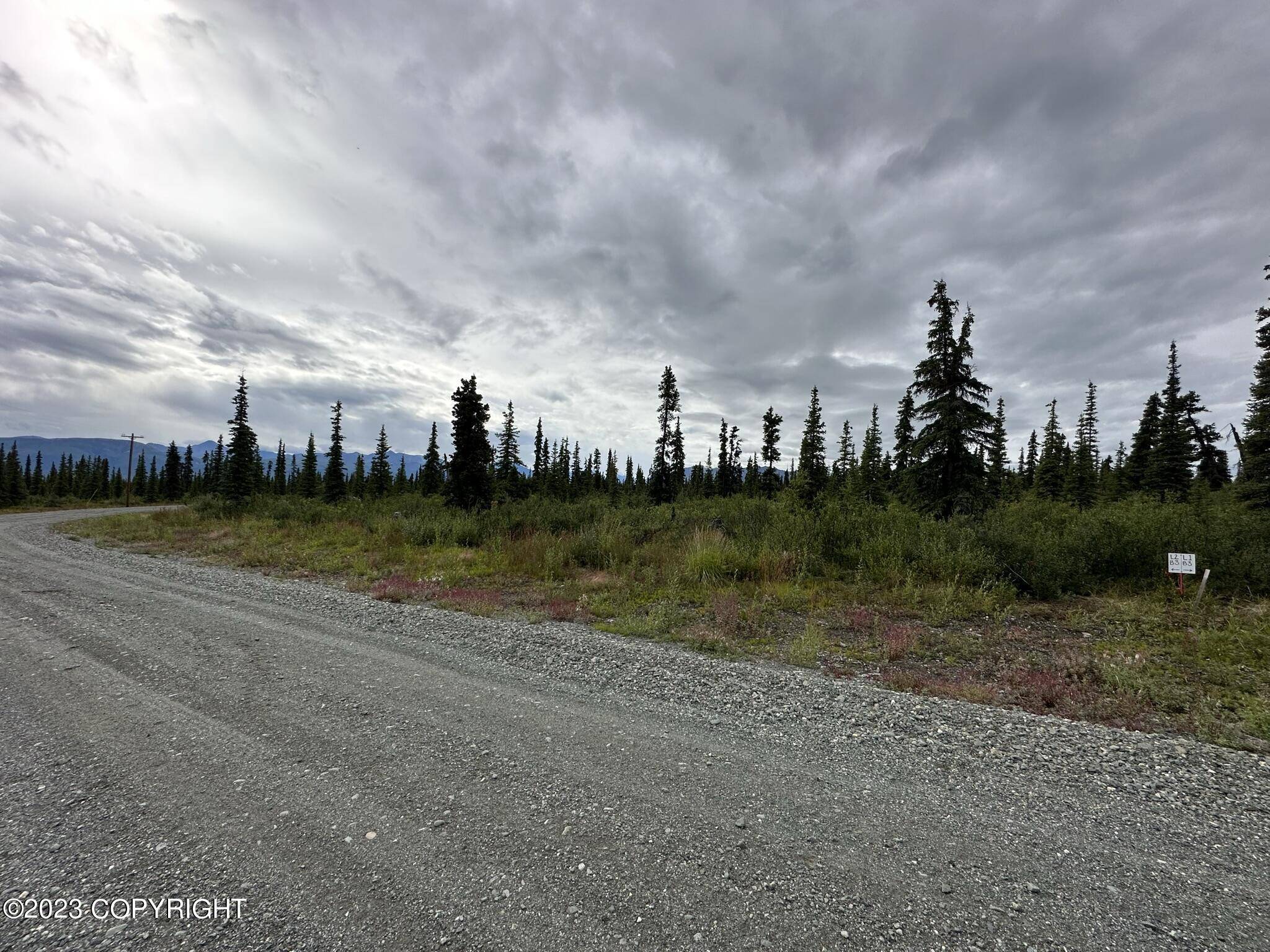 Chickaloon, AK 99674,49106 S Timberwolf RD