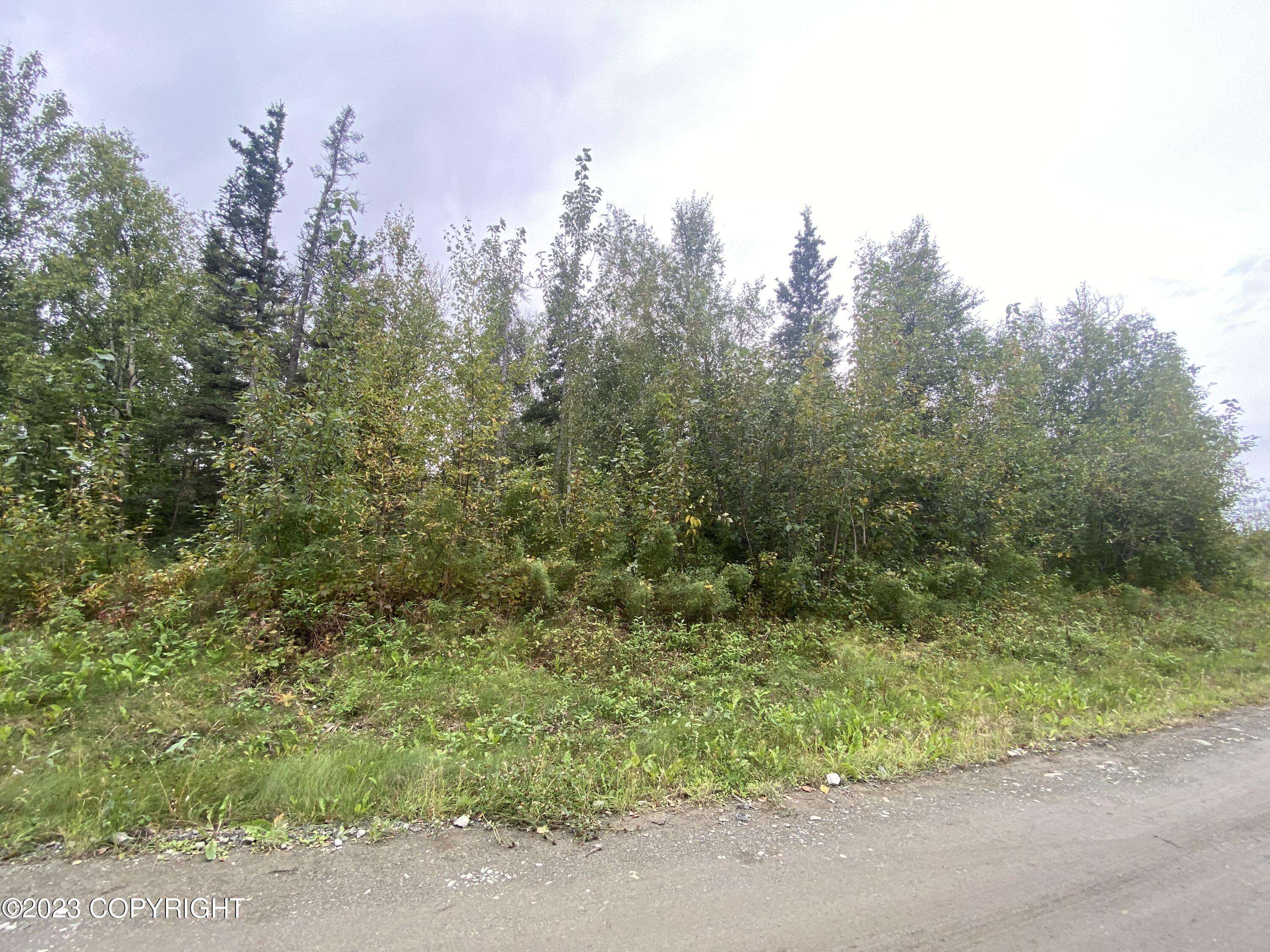 Palmer, AK 99645,11430 E Kangaroo CT