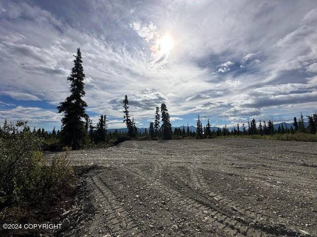 Chickaloon, AK 99674,49668 S Timberwolf RD